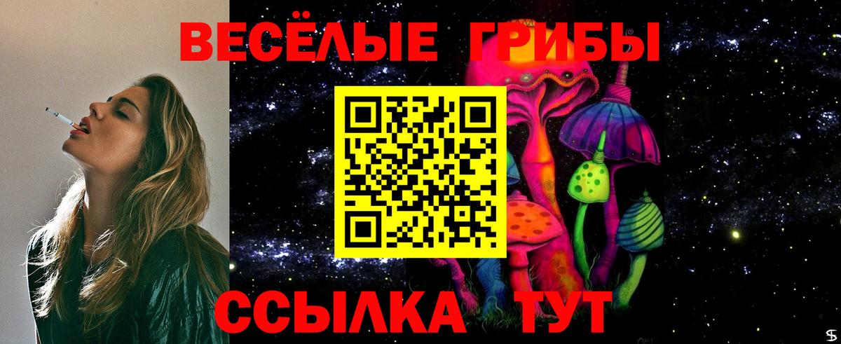 Псилоцибиновые грибы Psilocybe  Галлюциногенные грибы MAGIC MUSHROOMS  Вход с VPN  Ярославль 